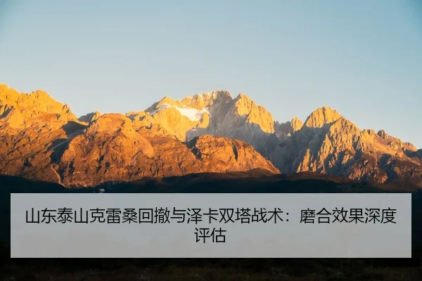 shan-dong-tai-shan-ke-lei-sang-hui-che-yu-ze-ka-shuang-ta-zhan-shu-mo-he-xiao-guo-shen-du-ping-gu-2-457.jpg